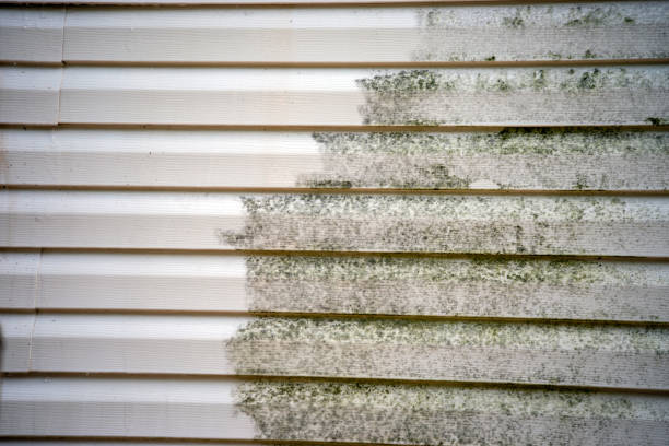 How To Choose The Right Materials for Your Siding Installation in 'Pleak, TX